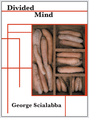 Divided Mind Cover